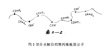 詳細(xì)分析聚丙烯酰胺分子性質(zhì)